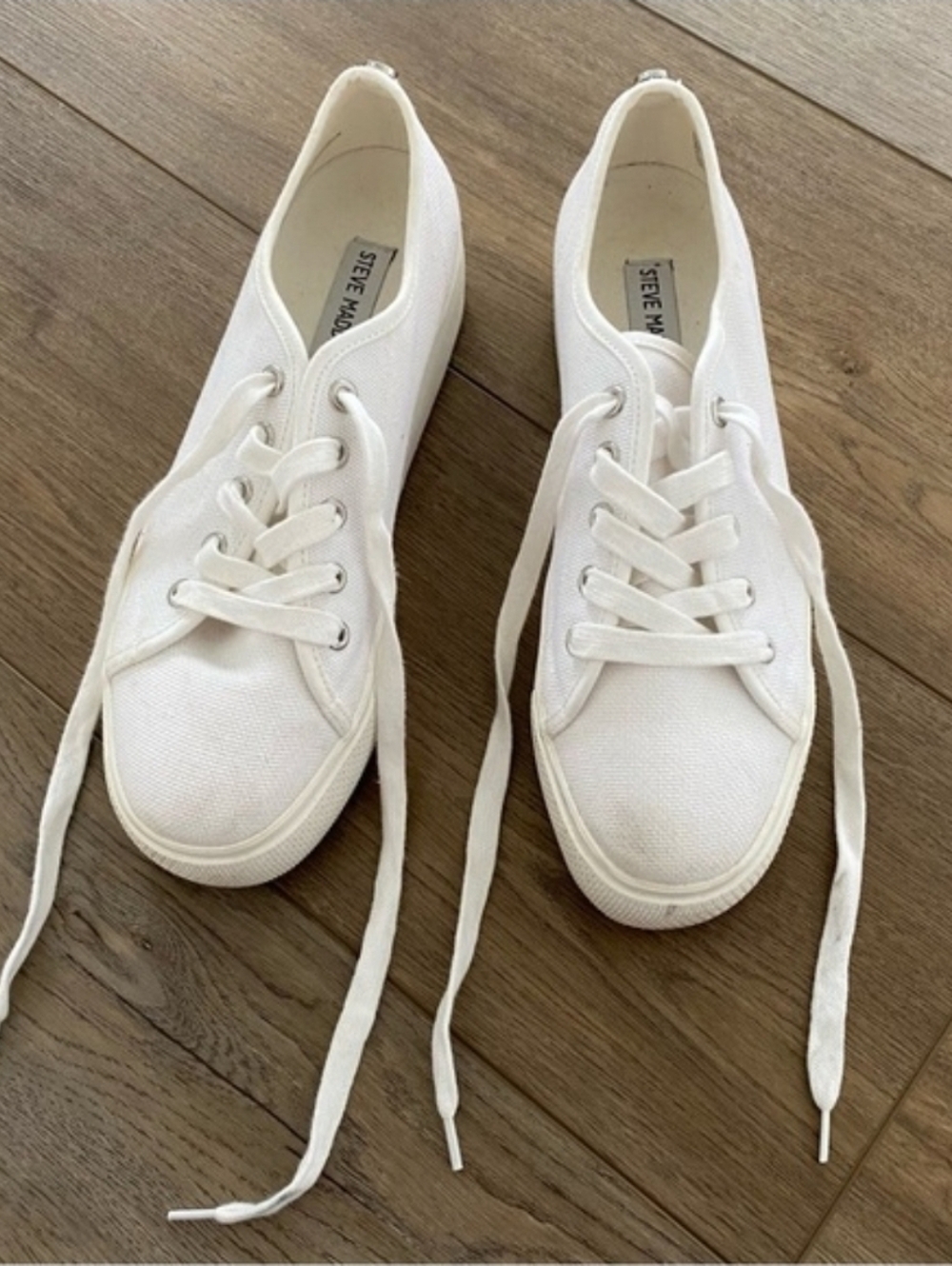 Steve Madden Women's Elore Sneaker - Size 9M